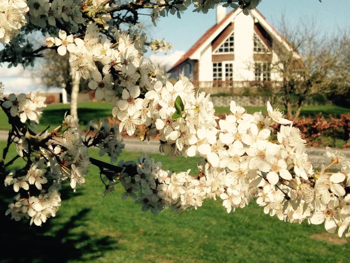 Margretelyst Bed & Breakfast Farsø Exterior foto