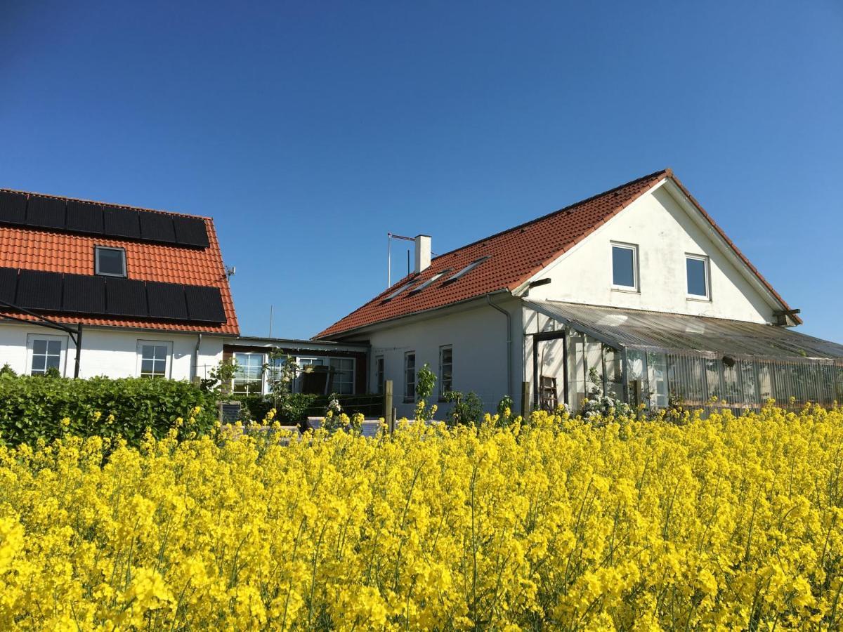 Margretelyst Bed & Breakfast Farsø Exterior foto